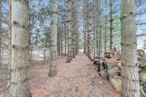 2233 Horse Rd, Abrams, WI 54101 photo 35
