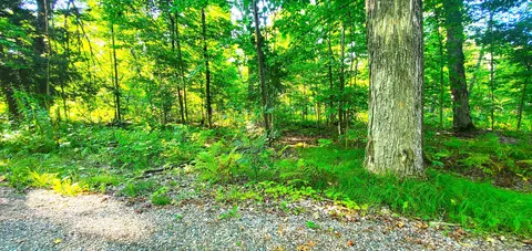 lake view drive, Pickerel, WI 54465