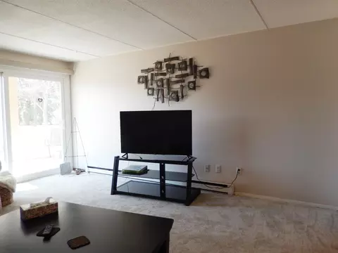 1441 S Van Dyke Rd #1C, Appleton, WI 54914 photo 10