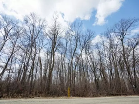 nelson road, Fond Du Lac, WI 54937