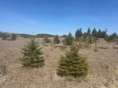 Laurel Lane, Baileys Harbor, WI 54202