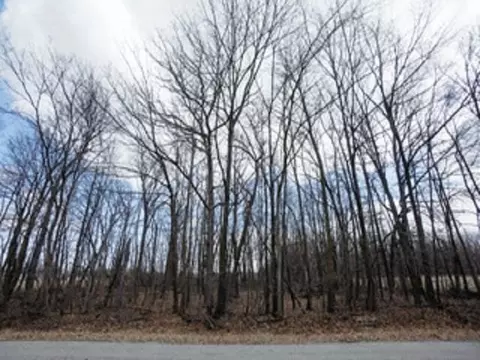 nelson road, Fond Du Lac, WI 54937