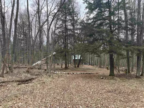 742 Moonlight Ln, Laona, WI 54103