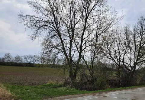 John Street, Mayville, WI 53050