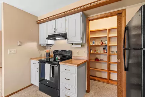 1120 E Mitchell Ave, Appleton, WI 54915 photo 18