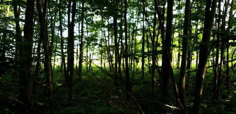 114 Wisconsin 55, Sherwood, WI 54169