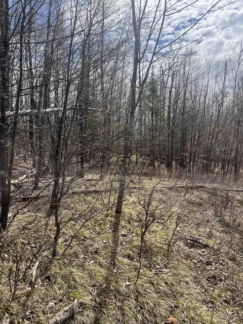 Nature Trail Road, Townsend, WI 54175