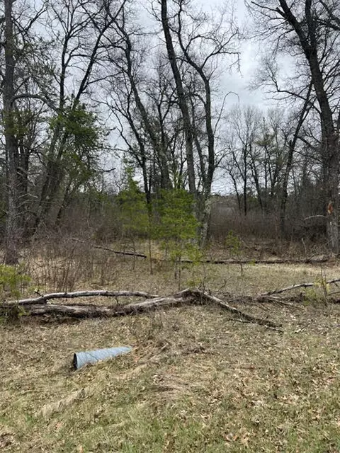 nolan lane, Crivitz, WI 54114 photo 2