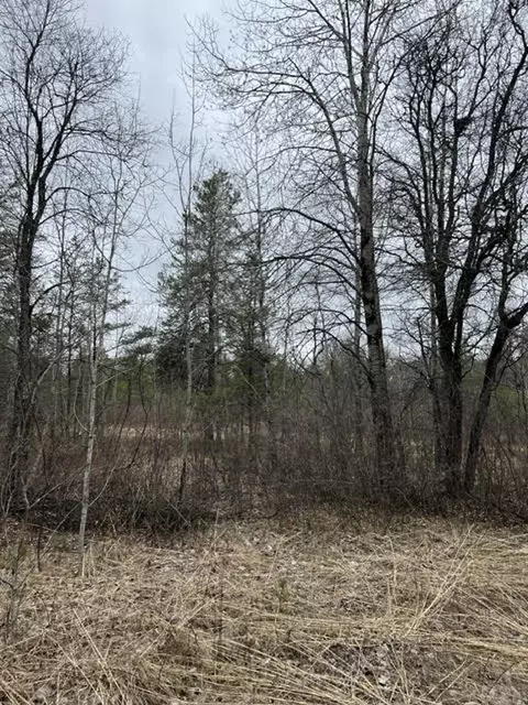 evan hill road, Crivitz, WI 54114