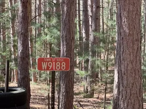 w9188 Olaf Court, Wautoma, WI 54982
