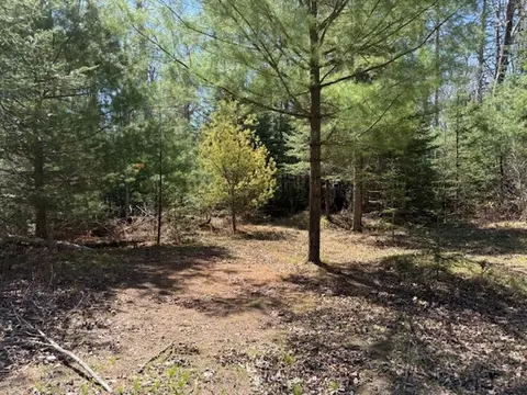 W13295 H & S Lane, Athelstane, WI 54102