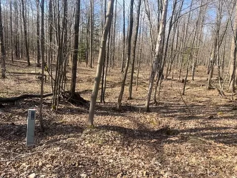 bartz bay road, Pickerel, WI 54465
