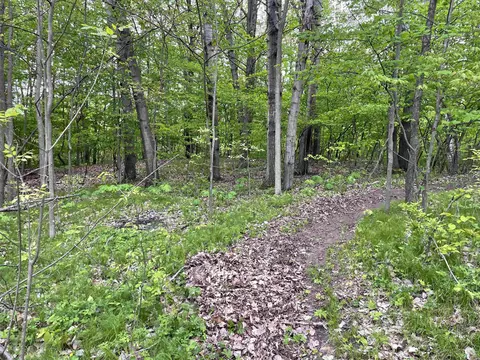 587 Cross Country Ct, Hobart, WI 54155
