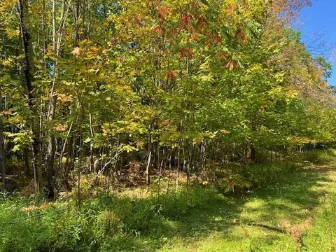 Maple Avenue, Goodman, WI 54125