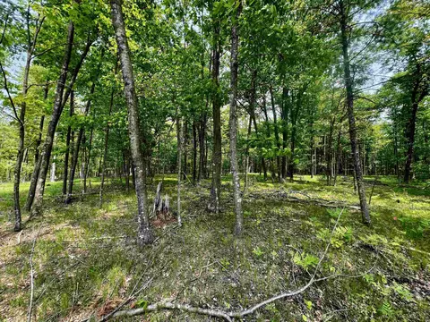 rhett road, Wausaukee, WI 54177
