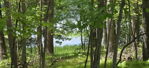 martin lane, Mountain, WI 54149