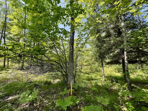 kafka road, Wausaukee, WI 54157