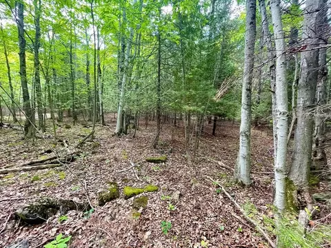 County Hwy Q, Baileys Harbor, WI 54202