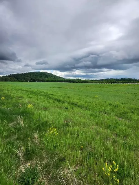 county road s, New London, WI 54911