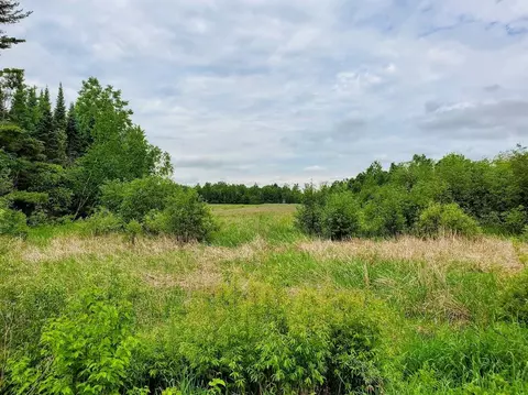 Geline Road, Deerbrook, WI 54424