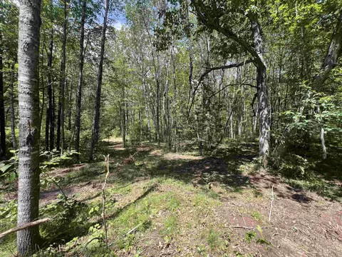 reynolds road, Wausaukee, WI 54177