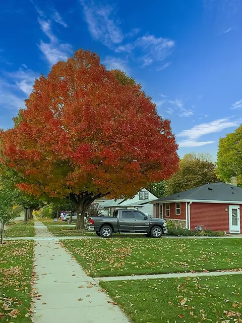 Other - 2320 S Greenview St, Appleton, WI 54915 photo 7 of 8