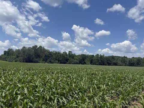 Balsam Road, Shawano, WI 54166