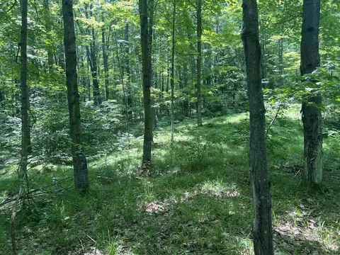 w15799 Fawn Acres Road, Goodman, WI 54125
