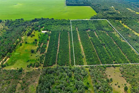 brown deer court, Hancock, WI 54943