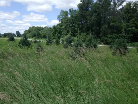 Hidde Road, Marion, WI 54950
