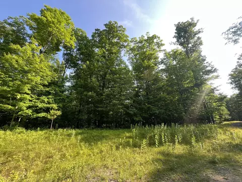 Anders Lane, Crystal Falls, MI 49920