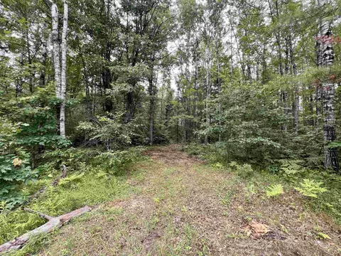 reynolds road, Wausaukee, WI 54177