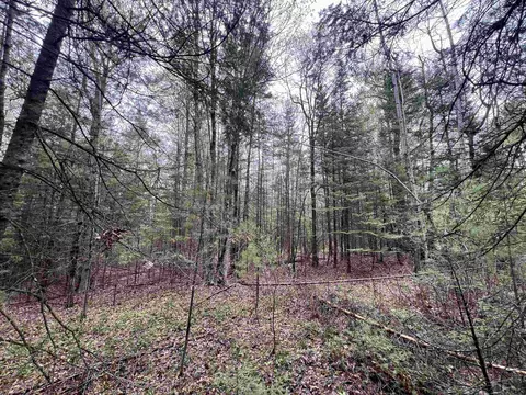 bruette road, Wausaukee, WI 54177