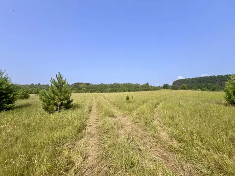 neumeier road, Wausaukee, WI 54177