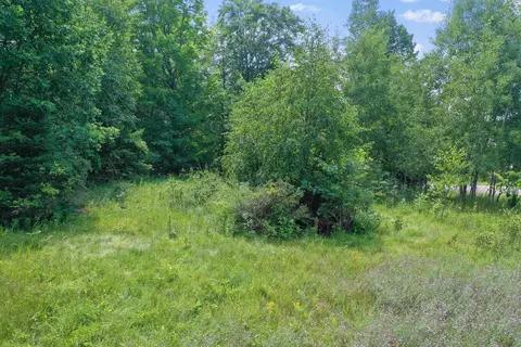 16180 Thelen Rd, Mountain, WI 54149 photo 9