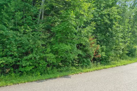 16180 Thelen Rd, Mountain, WI 54149 photo 10
