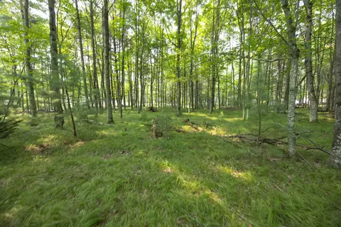 Gilkey Lake Road, Crivitz, WI 54114