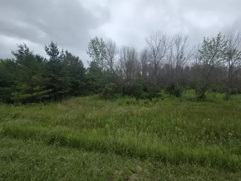 Bader Road, Luxemburg, WI 54217