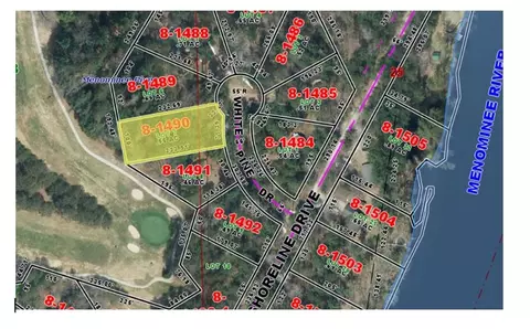 white pine lane, Beecher, WI 54156