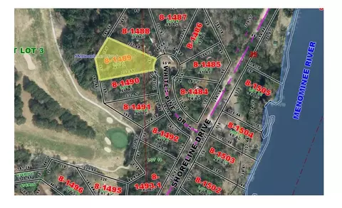 white pine lane, Beecher, WI 54156