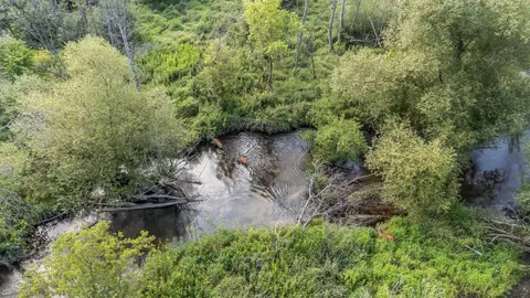 Pine Street, Pine River, WI 54965