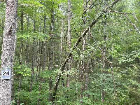 n1714 Hawks Nest Road, Keshena, WI 54135
