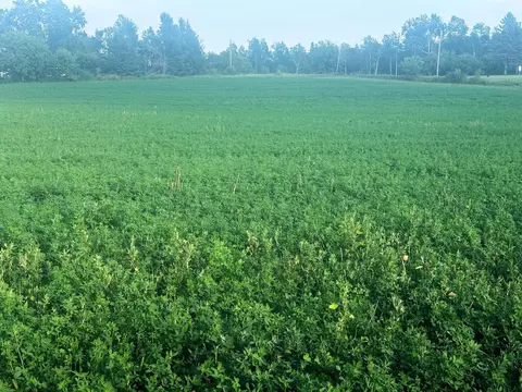 Co Rd 358, Daggett, MI 49821 photo 32