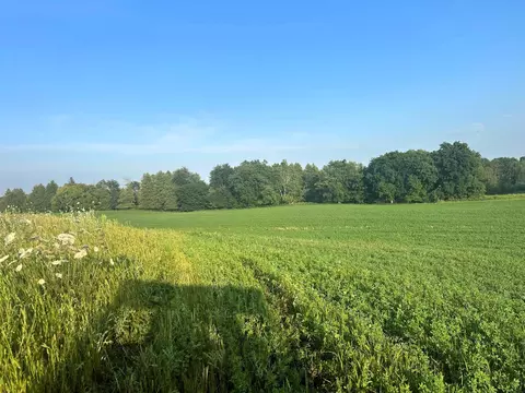 Co Rd 358, Daggett, MI 49821 photo 5