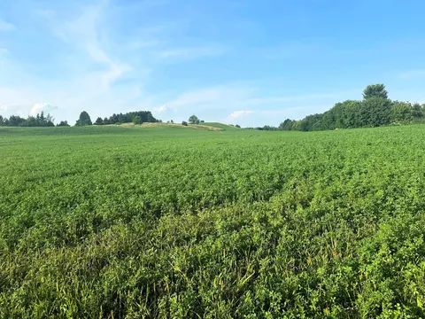 Co Rd 358, Daggett, MI 49821 photo 14