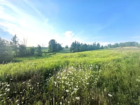 Co Rd 358, Daggett, MI 49821 photo 30