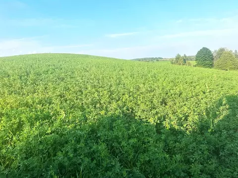Co Rd 358, Daggett, MI 49821 photo 20