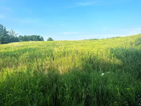 Co Rd 358, Daggett, MI 49821 photo 11