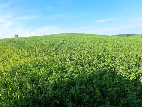 Co Rd 358, Daggett, MI 49821 photo 21