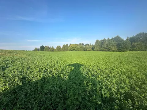 Co Rd 358, Daggett, MI 49821 photo 3